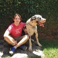 Theo Menezes's Photo