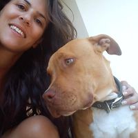 roi Georgousi的照片