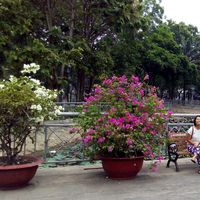 Ivy Mendoza的照片