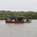 Immagine di Gastronomy Mangrove Experience 