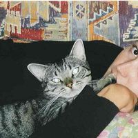 Marlene Arcivaux's Photo