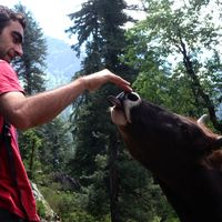 Fotos de nataraj Skippy