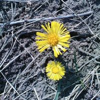 Fotos de Lauritz Wathne