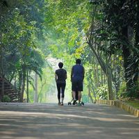 Johan Wibowo的照片