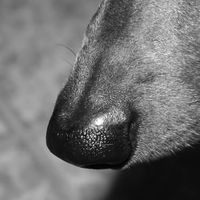 Ana Chinelli's Photo