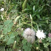 Romina Soledad Cocco's Photo