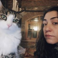 aysen coluk的照片