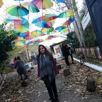 Demet Güzelmansur的照片