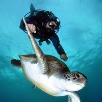 Juan Carlos AZ的照片