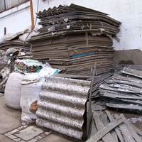 Andrey  Calderon's Photo