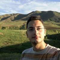 Milad Aliloo's Photo