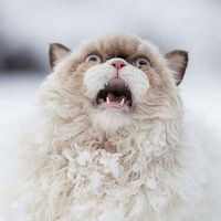 Photos de Michele Luca