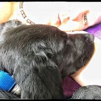 Zdjęcia użytkownika Claudia Rey-Hunziker