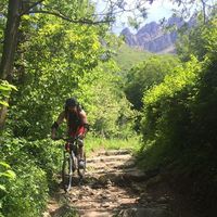 Fotos de Nicola Mistrettum