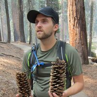 Le foto di Ryan Bottke