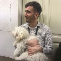 Giorgi Cheminava的照片