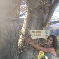 Fotos de Traci Sinag