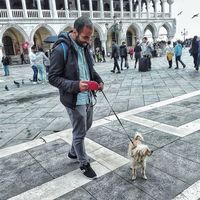 HaithamDesmond的照片