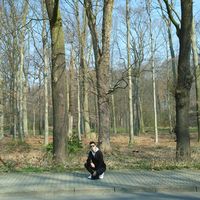 Saed Abouras的照片