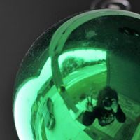 Hannah Wellner's Photo