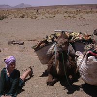 Frederique C. Lessard's Photo