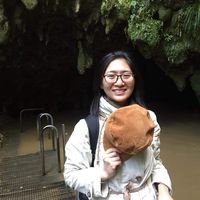 Le foto di Xuelin Ding