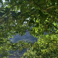 Fotos de Ana Lucia Fernandez