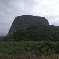 Marc Pfennings的照片