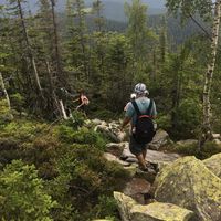 Photos de yasser elsayed