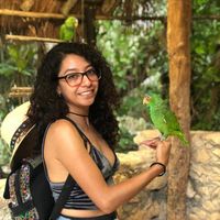 Fernanda Pérez的照片