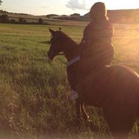 Fotos von Sina Kroner