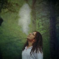 Le foto di arastoo zokaei