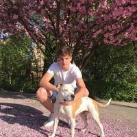 Fotos de Julij Zupan