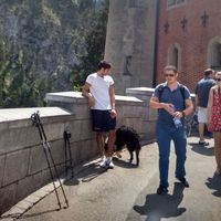 Domenico Romano's Photo