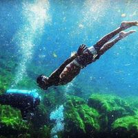 Marco Rojas's Photo