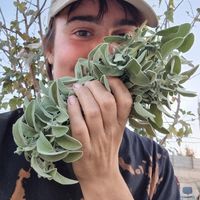 Alexandra Sint Nicolaas's Photo