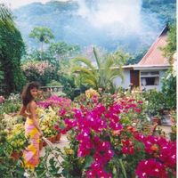 Stephen Shastid's Photo