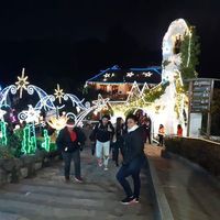 Daya Aponte的照片