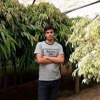 Meraj Dehghan的照片