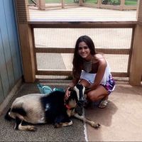 María María的照片