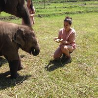Фотографии пользователя Bernarda  Coello