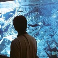 Andres Marin的照片