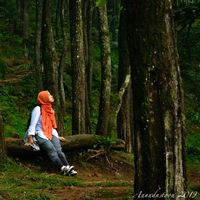 shelbyra fitri's Photo