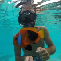 Amaury Bodin的照片