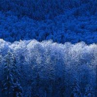 Zdjęcia użytkownika santiago Panizza