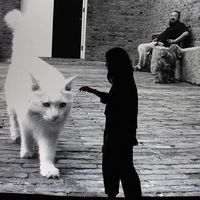 Fotos de Natasha Anderson