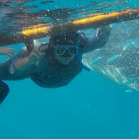 NURUL HUDA ZULHAIMI's Photo