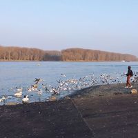 Orélum Iaoub's Photo