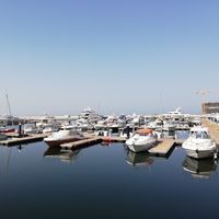 Ali Hooshmand's Photo