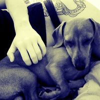 Belen Pataky's Photo